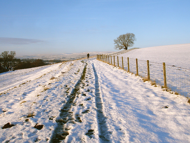 County Durham county