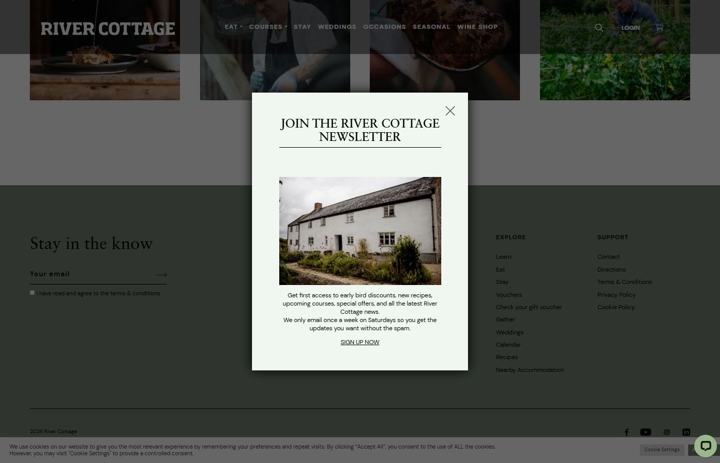 River Cottage Kitchen (Axminster)